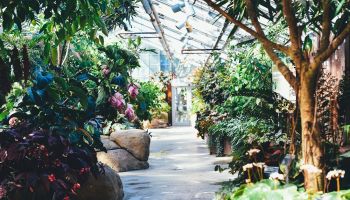 Love The Leschenault Gardening Workshop