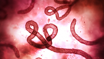 A shortcut to testing for Ebola