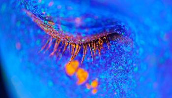 Treating mental disorders with psychedelic psychotherapy