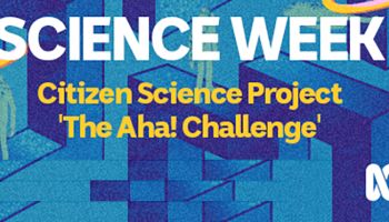 The Aha! Challenge