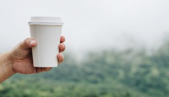 Cutting the cups: how to dispose of an everyday problem