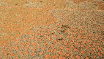 The marvellous mystery of the fairy circles