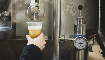Deep diving into the science of beer
