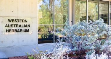 The Western Australian Herbarium is home to the biggest collection of introduced and native plants in WA, with over 750,000 plant specimens.
.