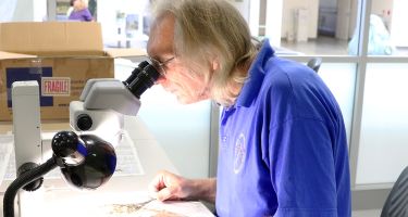 Research: “We’re working on the taxonomy of plant species, identifying and working out the classification of specimens.”
.