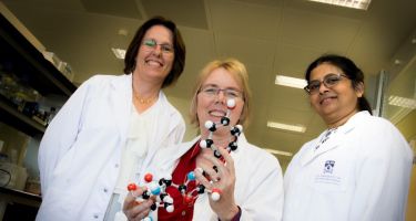 The research team – Charlene Kahler, Alice Vrielink and Anandhi Anandan
. Credit: Rhys Woolf, UWA Media Office
