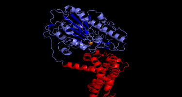 The EptA molecule
. Credit: UWA