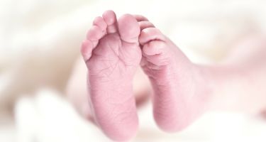 Science for Babies: 15 May
.