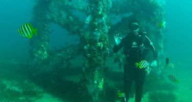 James Florisson diving on the artificial reef
. Credit: Recfishwest
