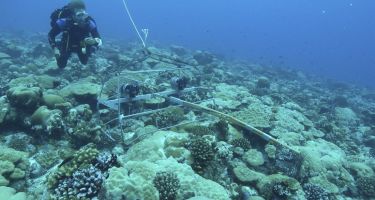 Dr Tom Letessier operates the BRUVS
. Credit: Marine Futures Laboratory/UWA