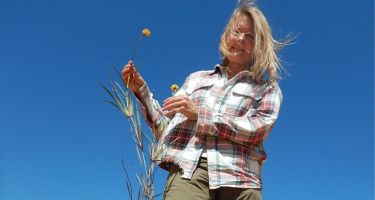 Ellen Hickman with a cottonheads species discovered in the Kalbarri Province
. Credit: Stephen Hopper