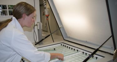Student Friday Gray with temperature gradient plate equipment used in the study
. Credit: Andrew Crawford, DBCA