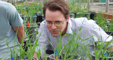 With the population growing faster than we can make food, how will Australia fare with food security? What does the future of Australian agriculture look like?. Credit: Plant Energy Biology