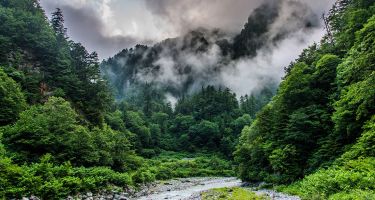 Foggy peaks of the Hida Mountains
. Credit: Christopher Spencer