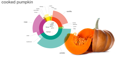 Aroma profile of cooked pumpkin
. Credit: Foodpairing