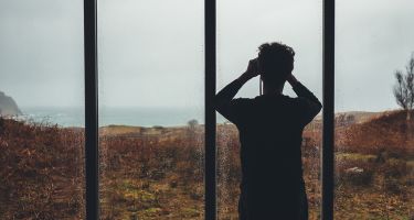 Visually, you can see through glass, but with echolocation, it might as well be a solid wall
.