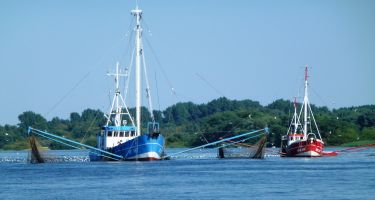 Commercial fishing vessel
.