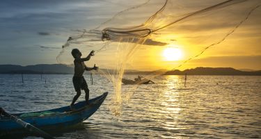 Traditional fishing
.