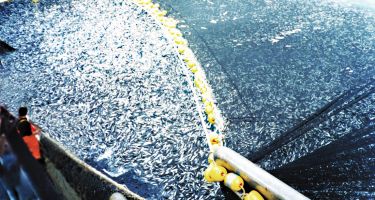 Overfishing has serious environmental and economic consequences
.