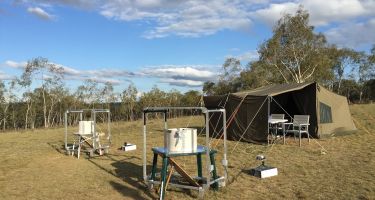 For their experiment, the researchers used a custom-made outdoor flight simulator…
. Credit: David Dreyer