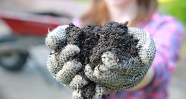 … and ensures the final compost is a rich, nutritious meal for plants in in future.
. Credit: MPCA Photos