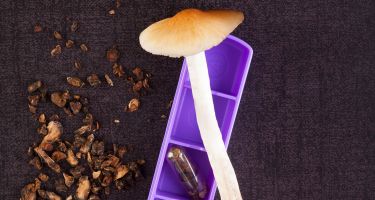 Some of the main drugs used in psychedelic psychotherapy are psilocybin (magic mushrooms)…
.