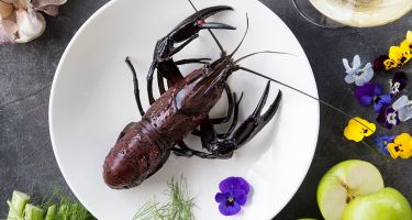 West Australians are fortunate to have some of the world’s best produce on their doorstep…
. Credit: BWEB Campaign