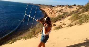 Time spent tagging and monitoring sharks
.