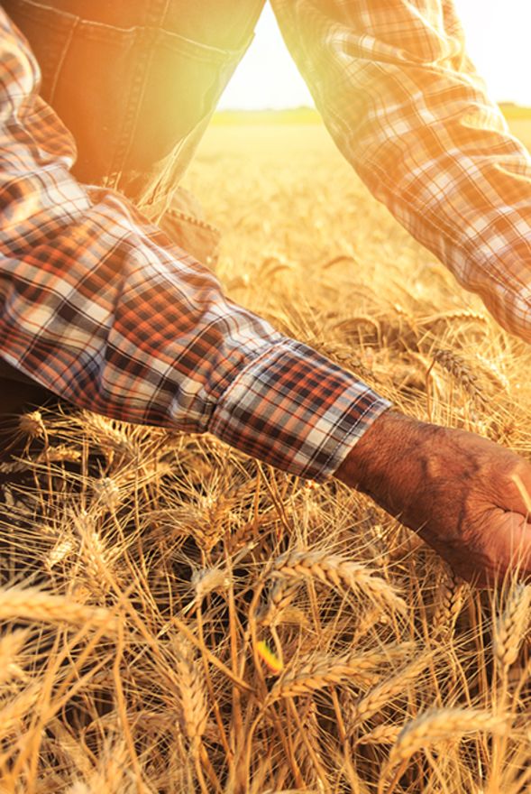 Regenerative Farming Forum By The Shire Of Brookton