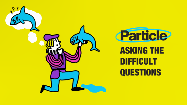 Difficult questions VIDEO