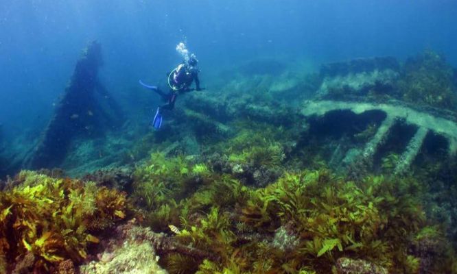 Mapping Wa S Shipwrecks With 3d Scanning Technology Particle
