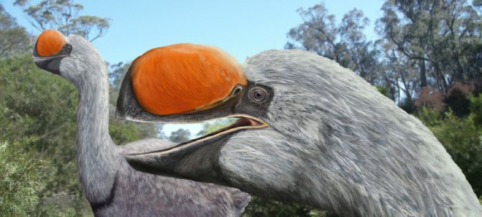 Meet chickens’ long-lost monster cousins