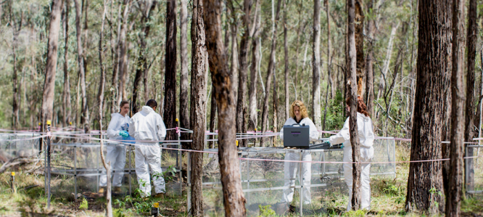 A day at a ‘body farm’