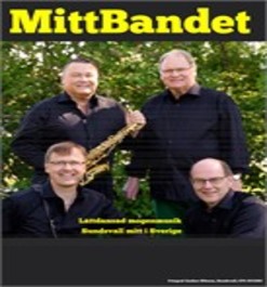 Mittbandet