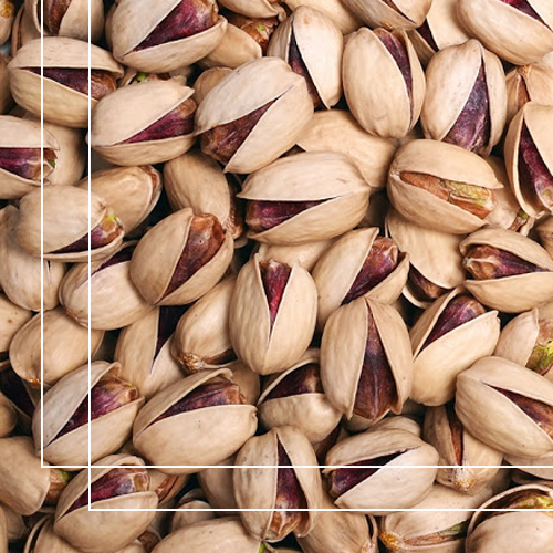 Premium Salted Aleppo Pistachios 5 kg (Bag)