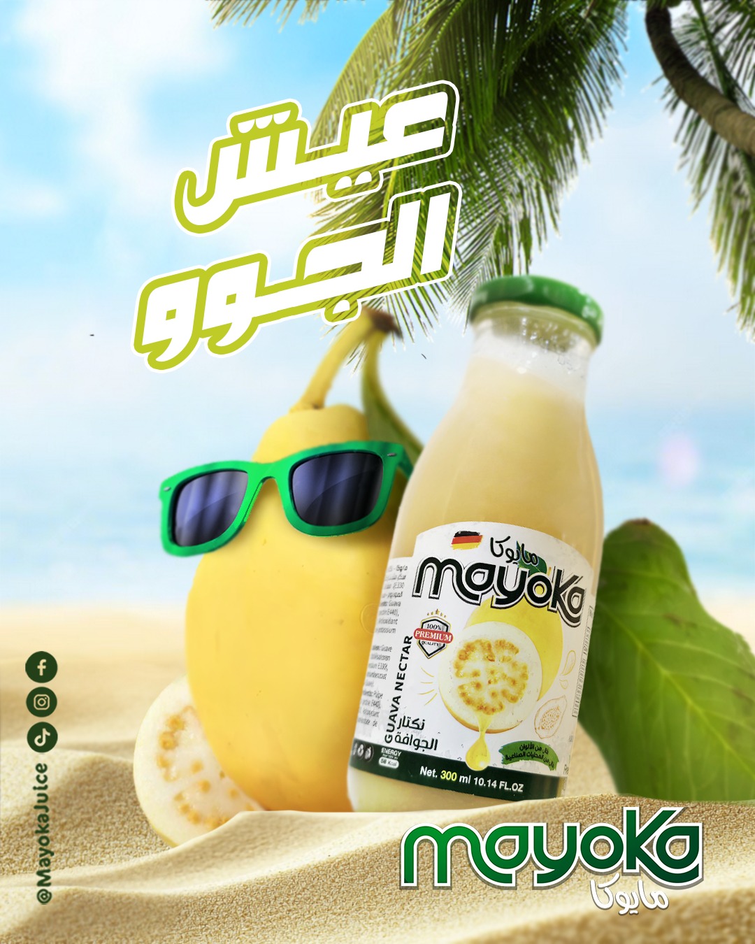 Mayoka Guava Flavored Juice 300ml