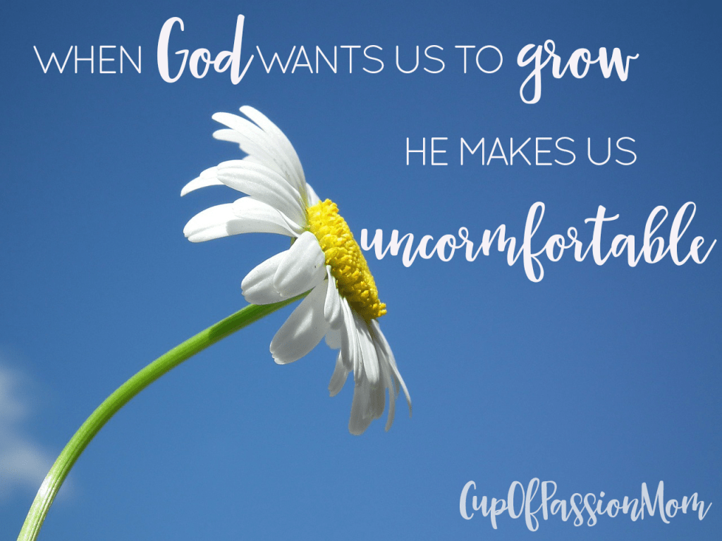 Christian Goal Quote