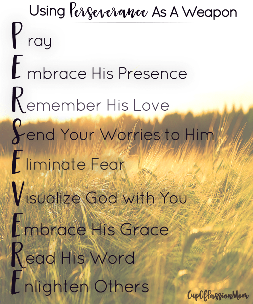 Persevere Daily Weapon