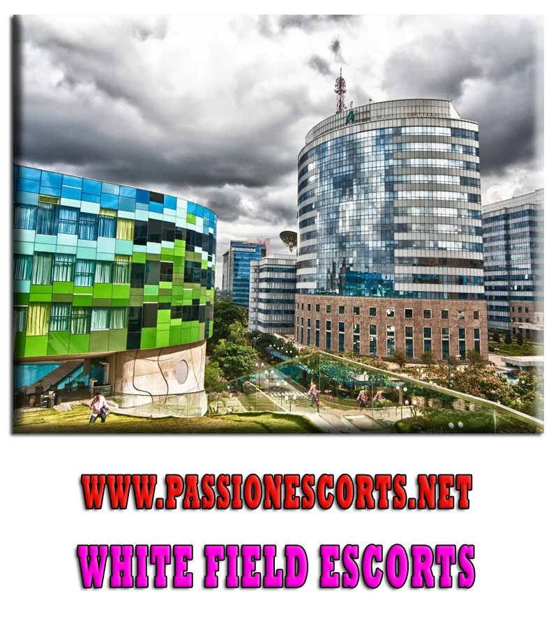 escort service in Whitefield Bangalore