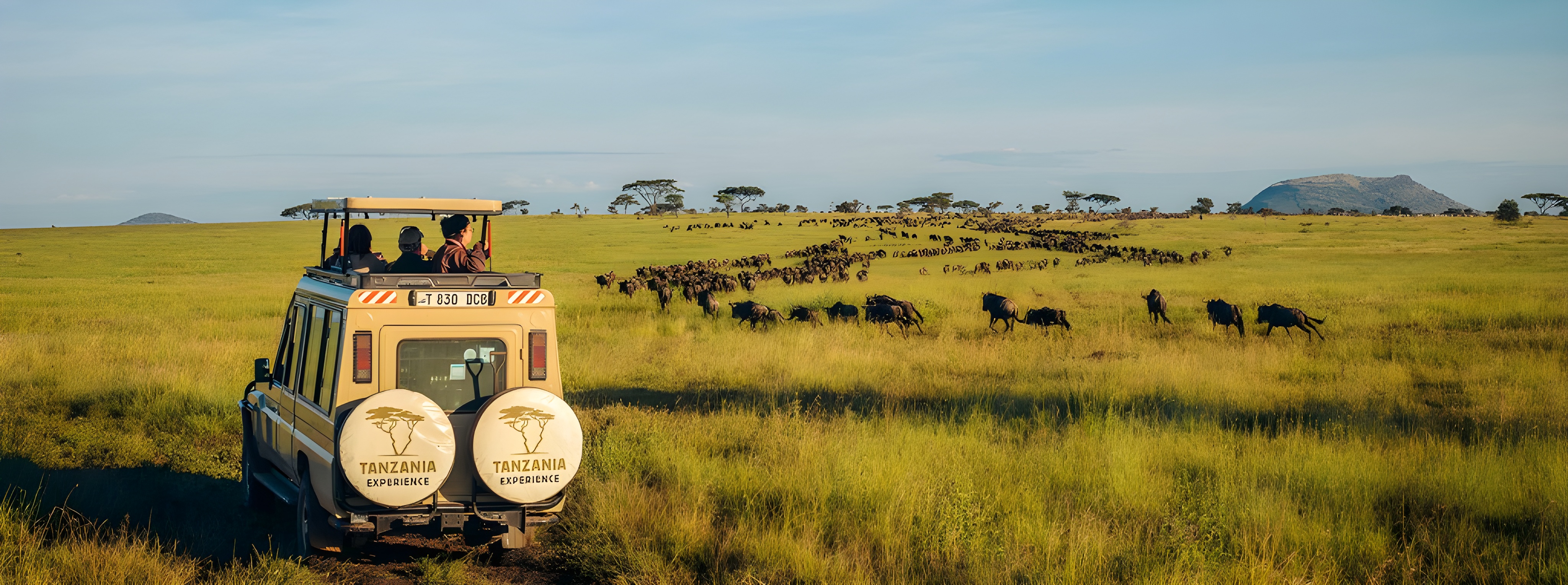 Serengeti National Park | Morning & Afternoon Game Drives, Transfer to Karatu