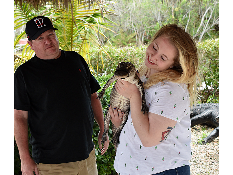baby gator