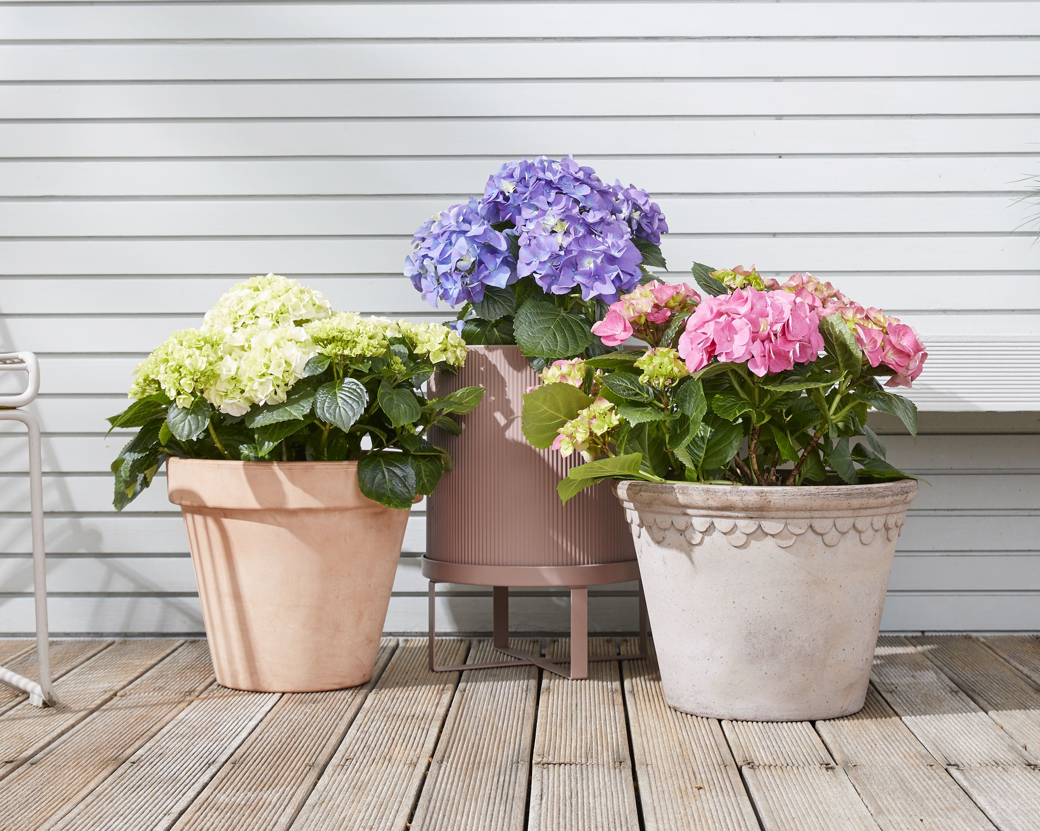 plant pots dividing living room