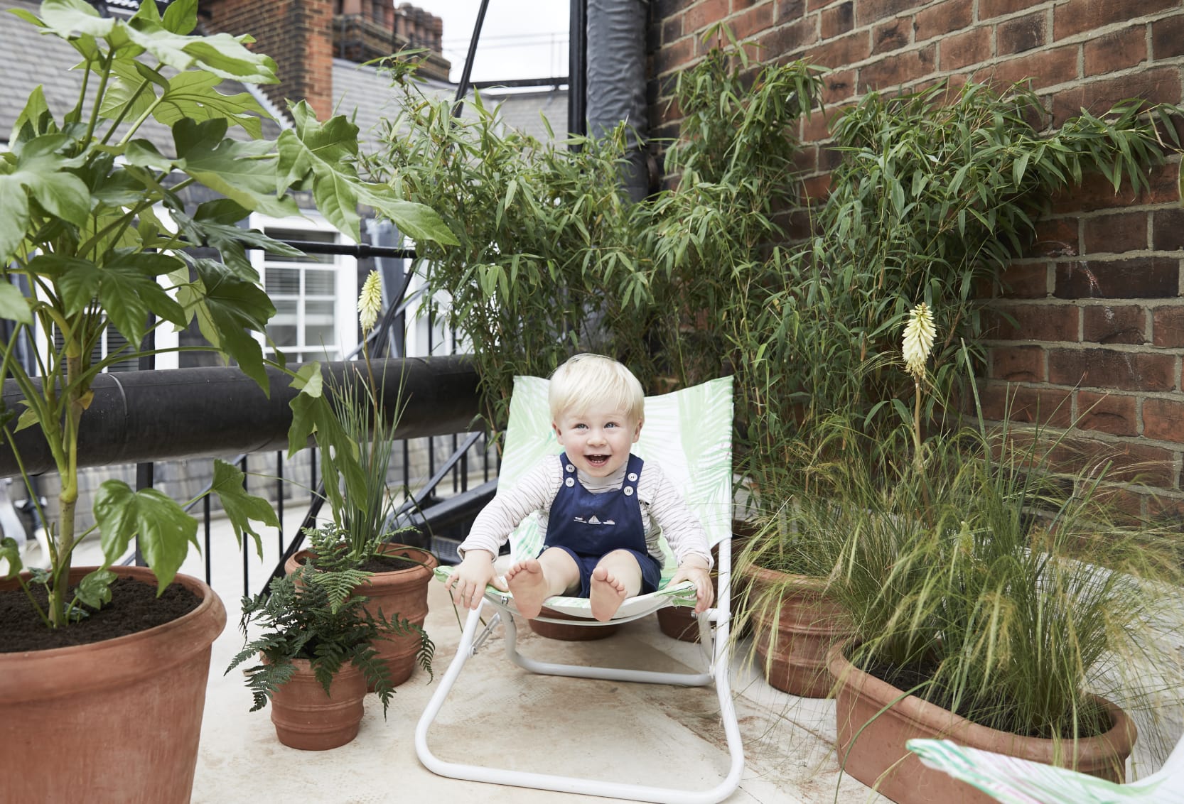 Plantes Sans Danger Pour Les Enfants Et Les Animaux Patch