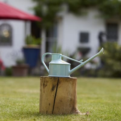 Haws Duck Egg Blue Watering Can