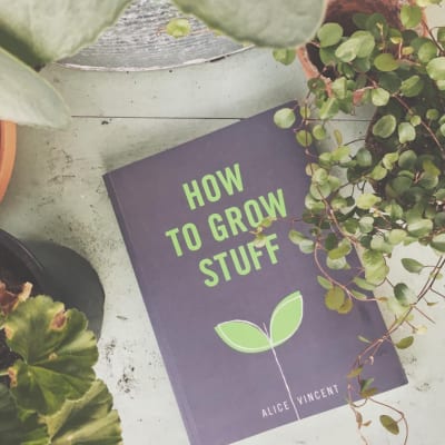 Buy How To Grow Stuff by Alice Vincent on Patch