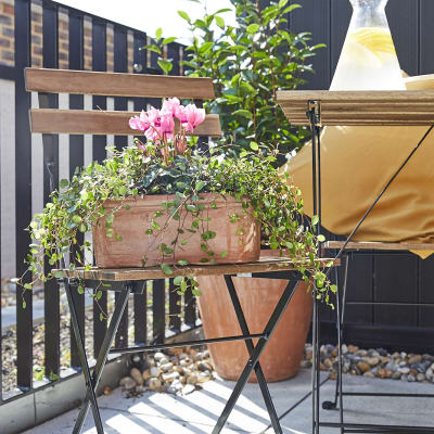 Oval terracotta pot