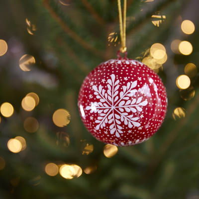 Nordman Fir — Christmas-trees | Patch
