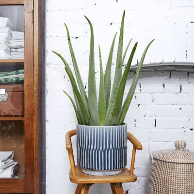 ridged ceramic pot