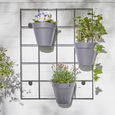 plant wall rack