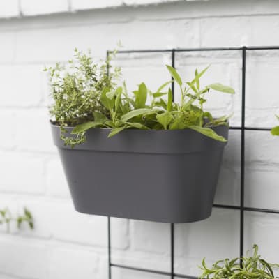 double hanging wall pot